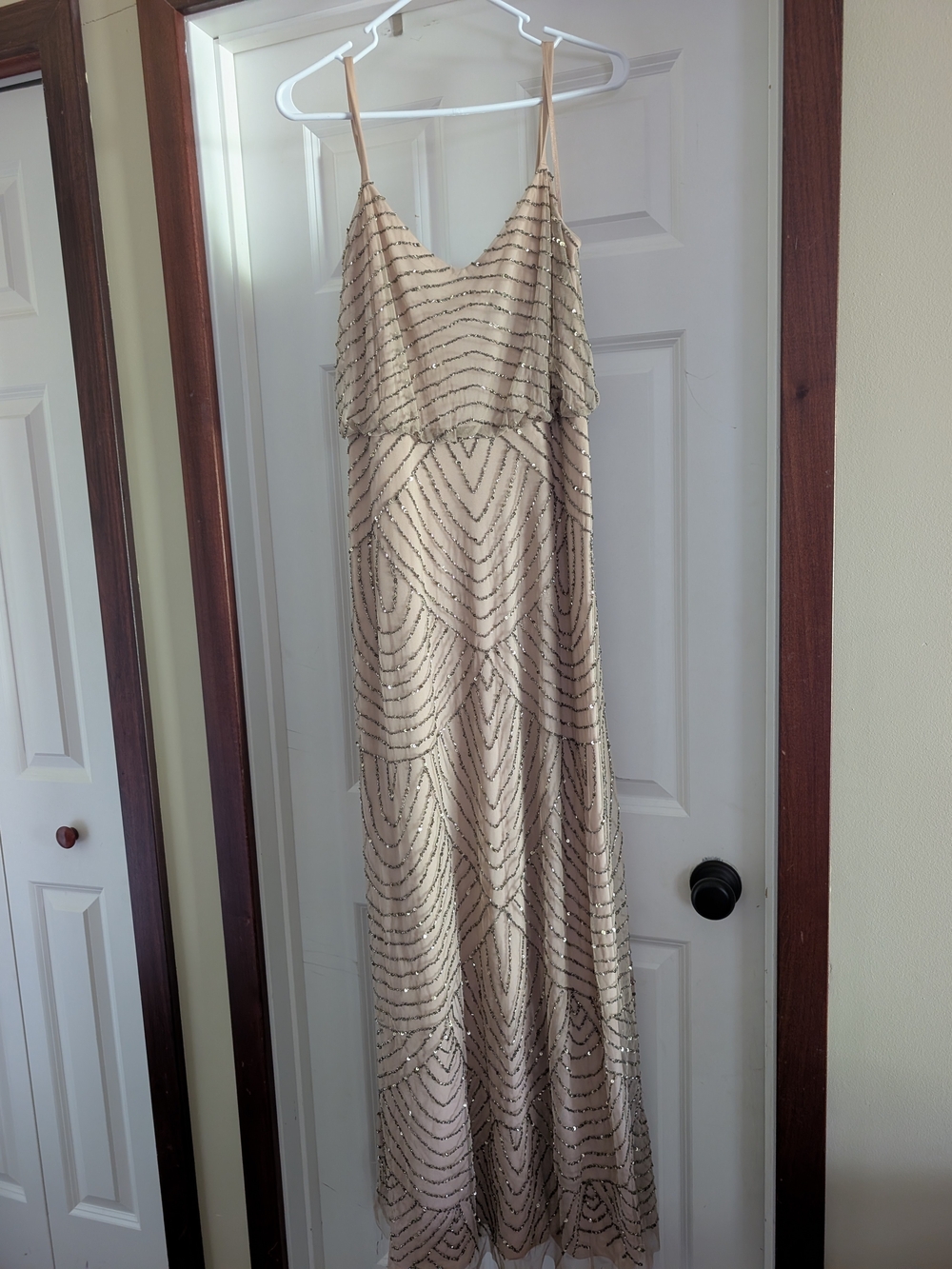 Adrianna Papell Champagne Sequin Maxi Slip Dress